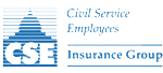 cse insurance group